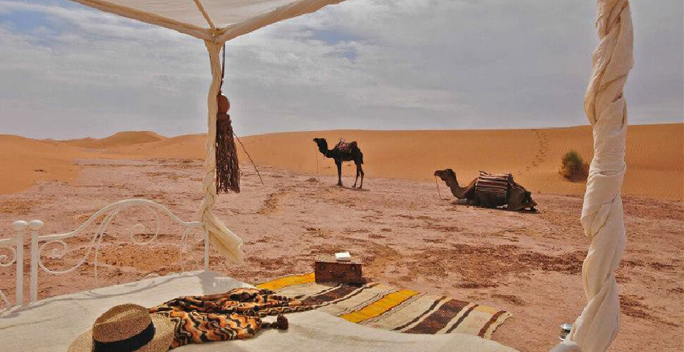 Morocco desert tours — Fes medina guided tour